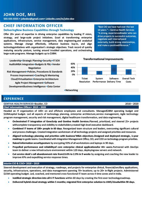 Menselijk ras venijn vaas Chief Information Officer CIO Resume Samples & Writing