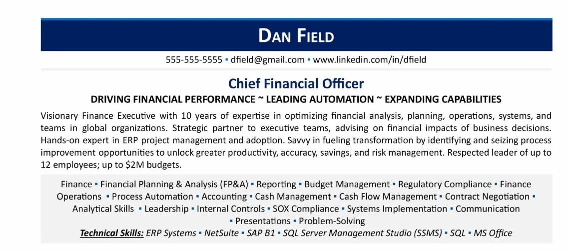 c level and executive resume examples