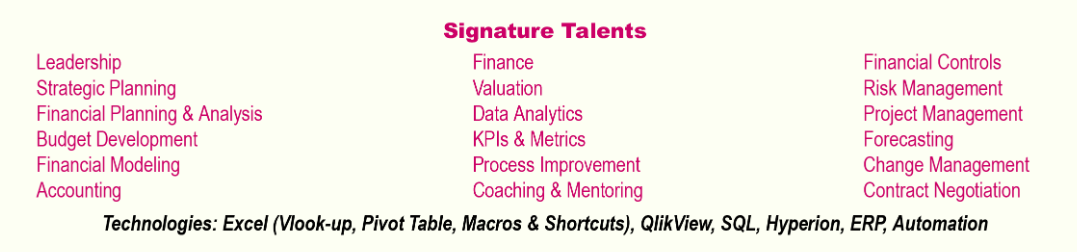 executive resume skills section example