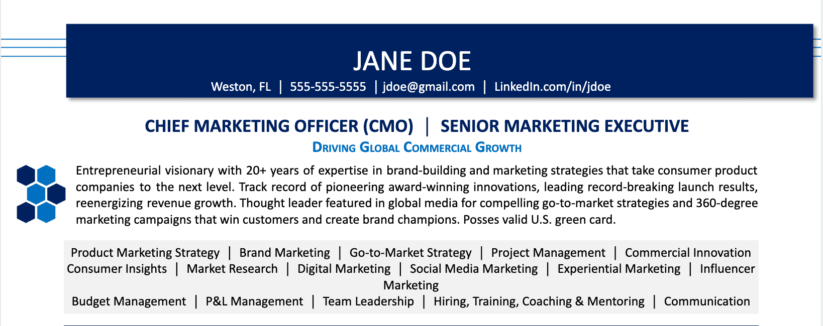 CMO Resume Career Summary