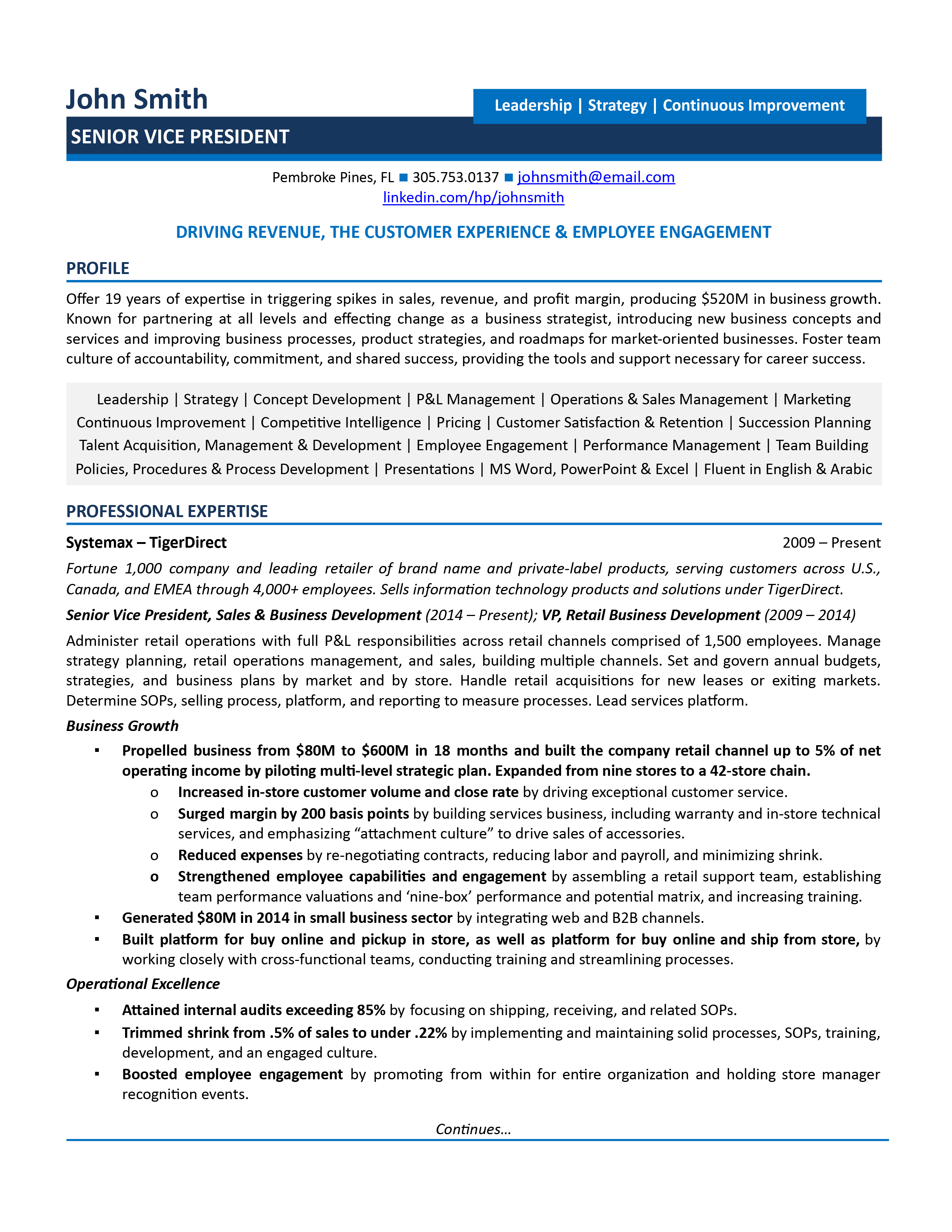 Best Vice President VP Resume Samples For 2025
