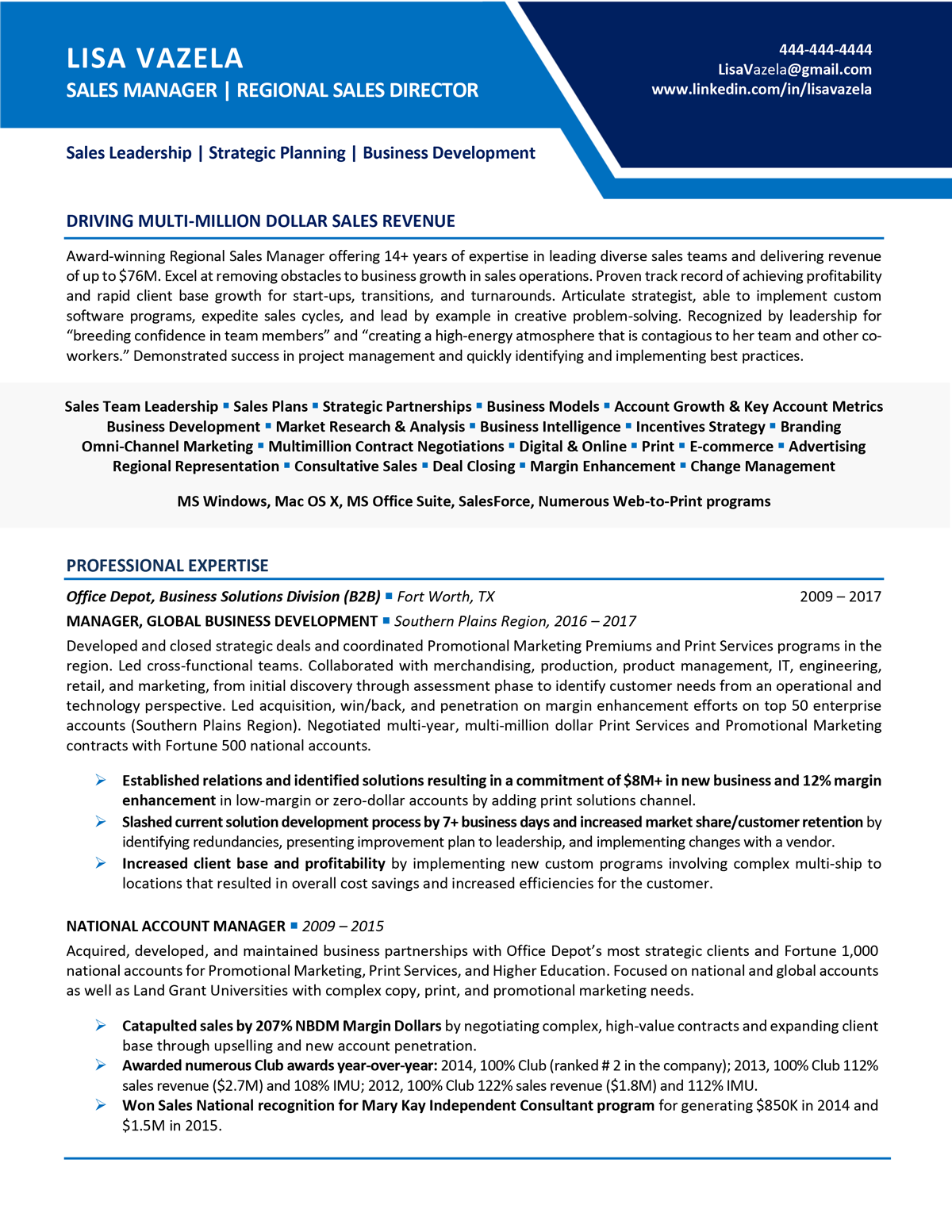 resume examples sales manager