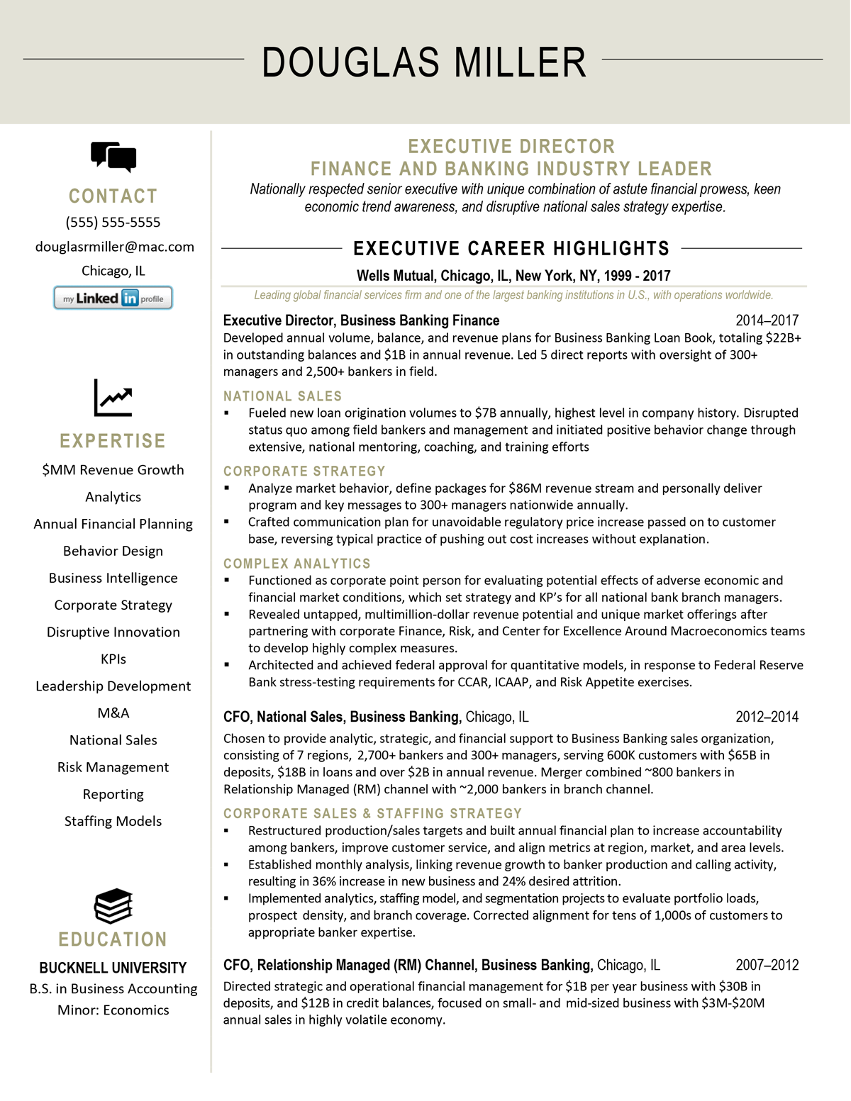 Executive Director Resume Examples Guide For 2023