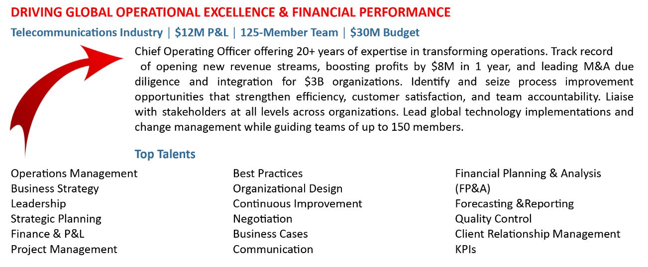 COO Resume Summary example