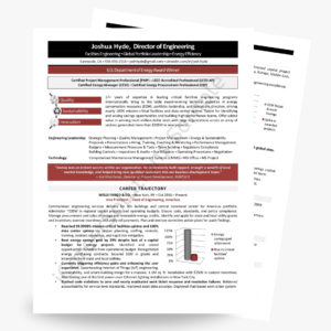 Engineering Director IT/Engineering resume examples