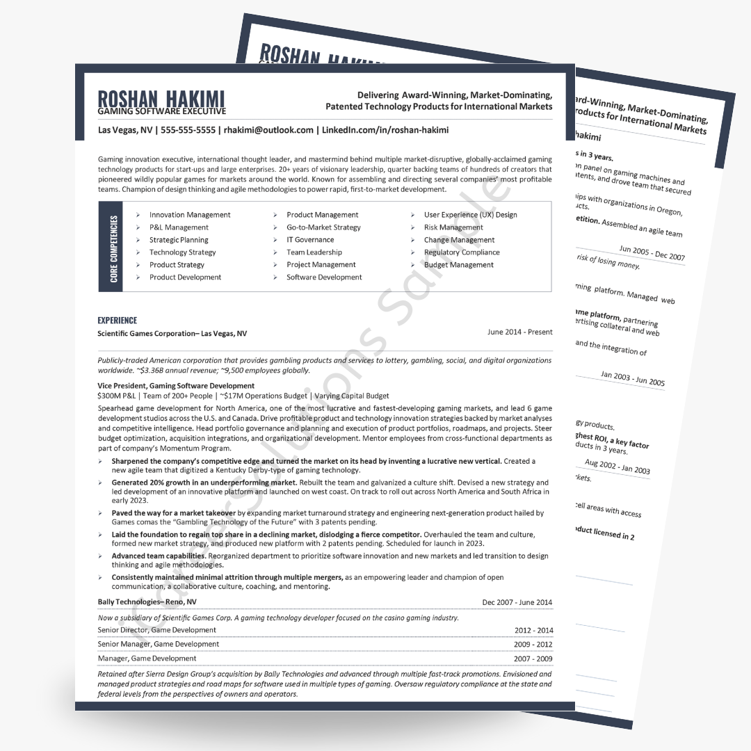 Software Executive - Mid career professional resume examples