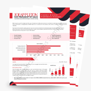 VP of Sales Resume VP Resume Examples