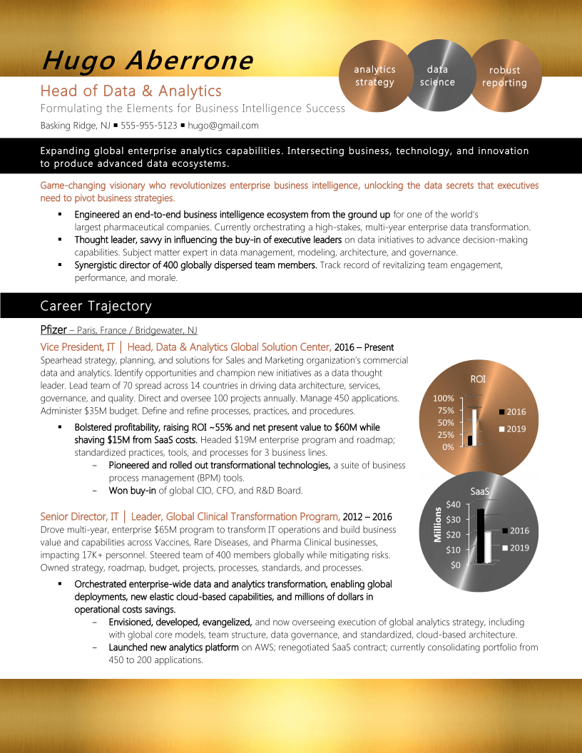 VP of IT Resume Sample 1