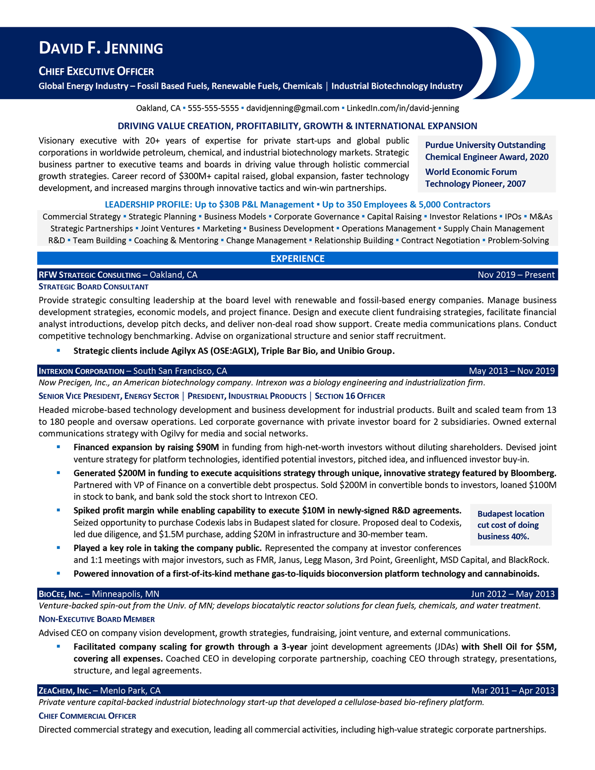 ceo resume ceo-resume