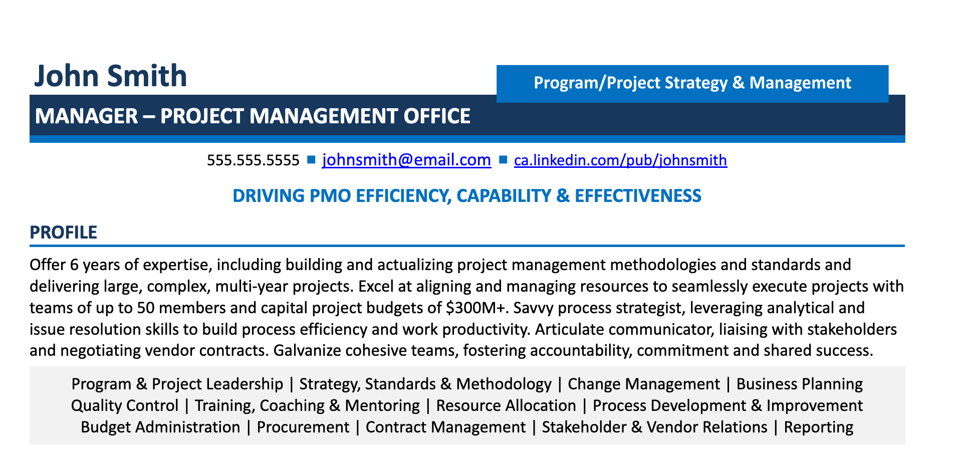 project manager summary 1 project-manager-summary