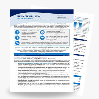 CEO Resume Examples CEO Resume Examples