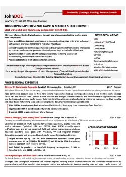 Director of Sales Resume Sample 1
