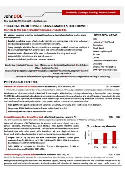 Director of Sales Resume Sample 1