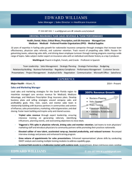 Sales Manager Resume Sample 1