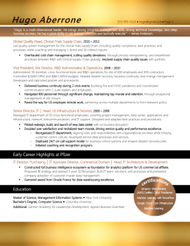 VP of IT Resume Sample 2