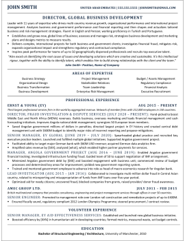 director of business development resume